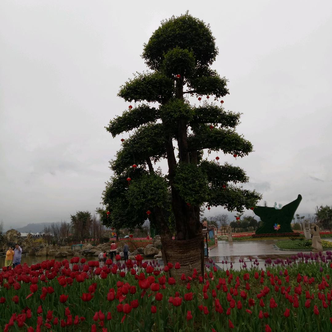 老曾烧烤（金橄榄）