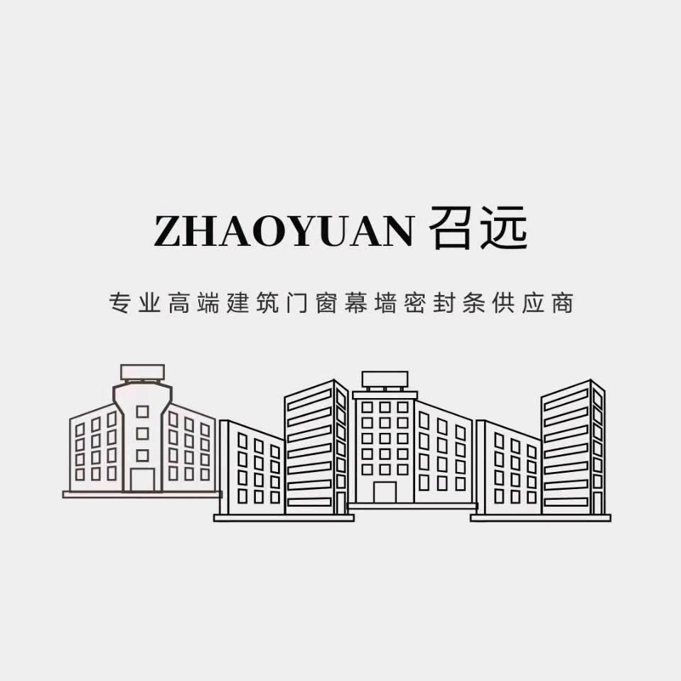 召远橡胶-隋亚雷