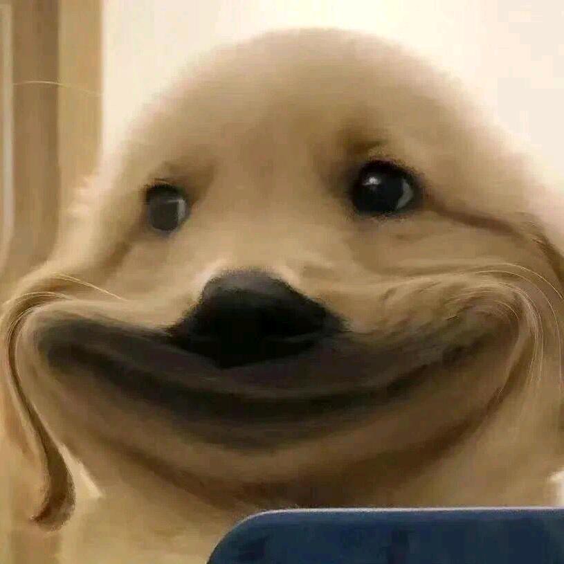 ＝＝