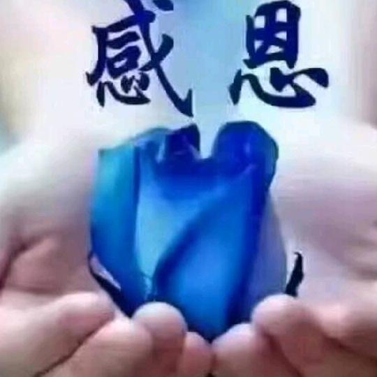 无情