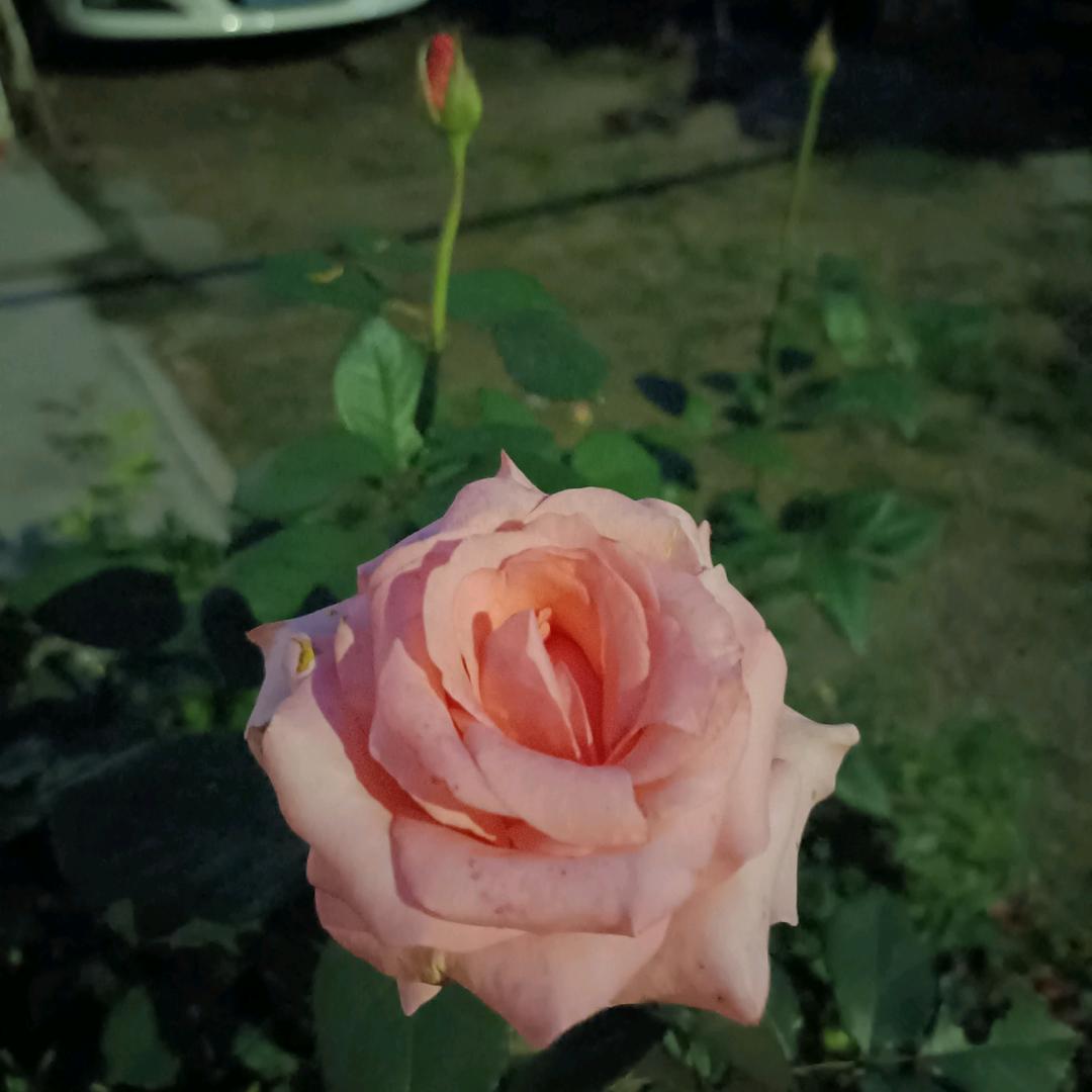 ✺看透◟(∗❛ัᴗ❛ั∗)不说透◞✺