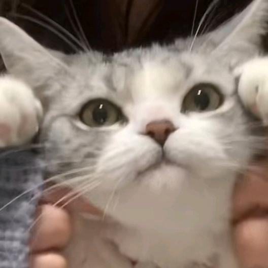 意笙ᝰ头像