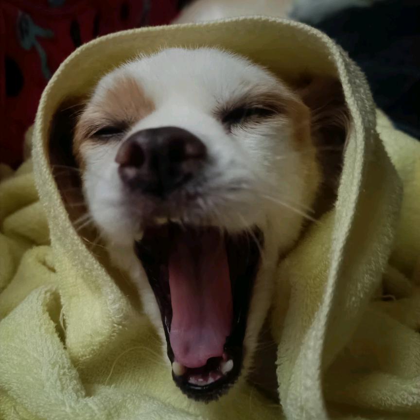 起来嗨