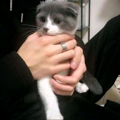 忒你冷静点