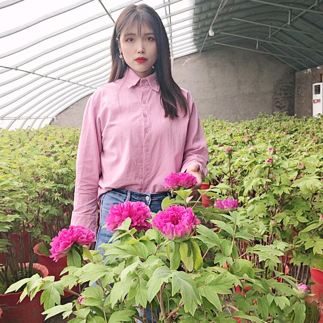 菏泽花姑娘牡丹