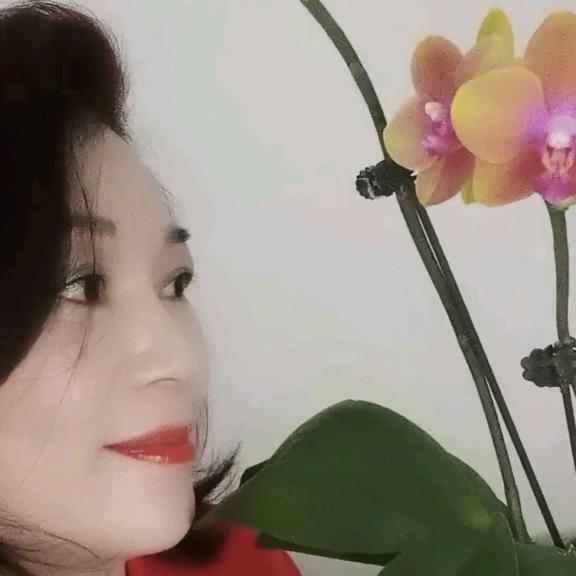 玺爱