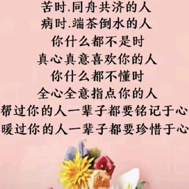 吾行养车-林林
