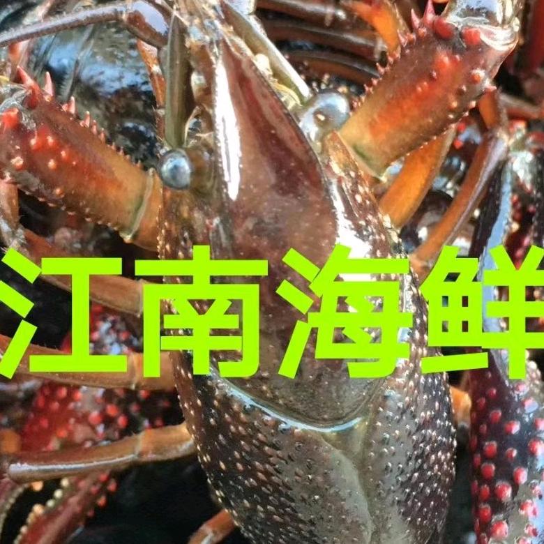 新乡市江-南海鲜批发（总店）