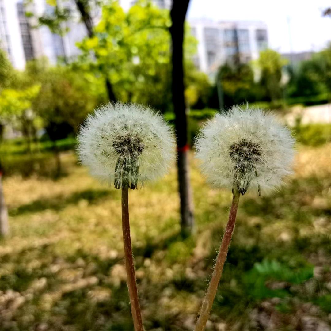 幸福ьú缺蓆