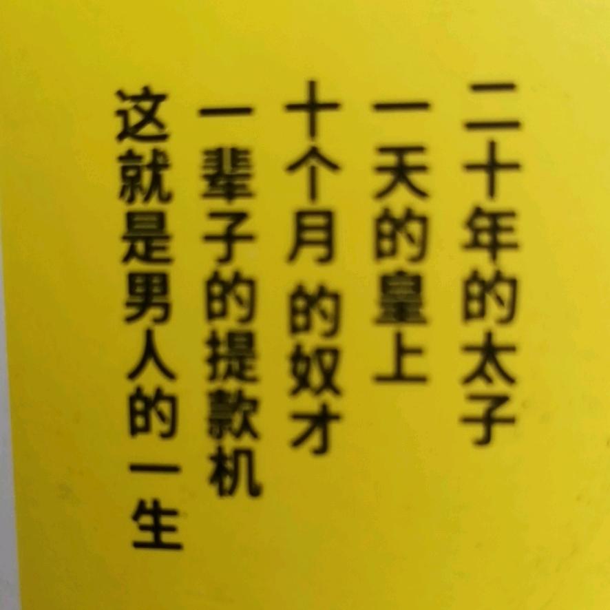 DY88888888电器