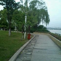 恭喜发大财 ，每年好运来来