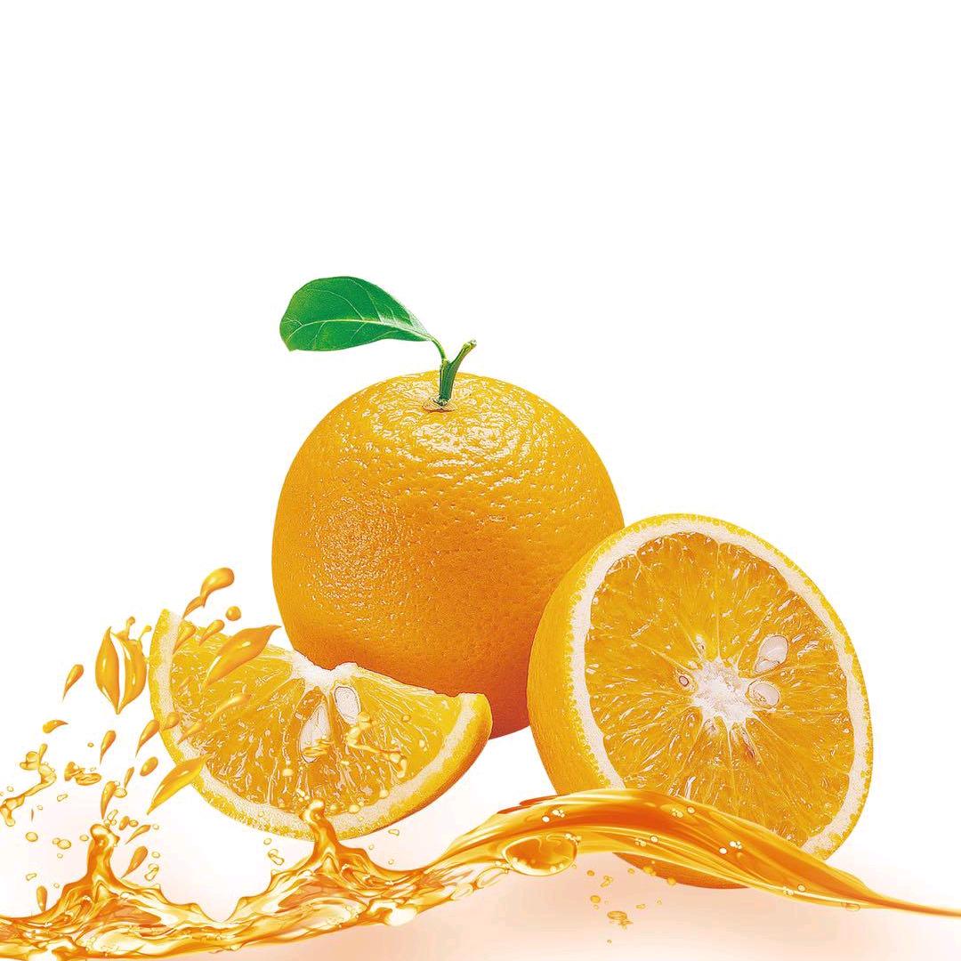 苏教数学橙子🍊老师