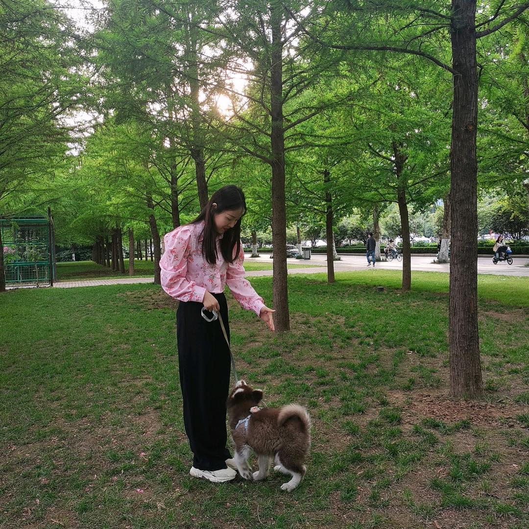 @可乐小朋友