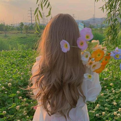 ❤️Liuying❤️
