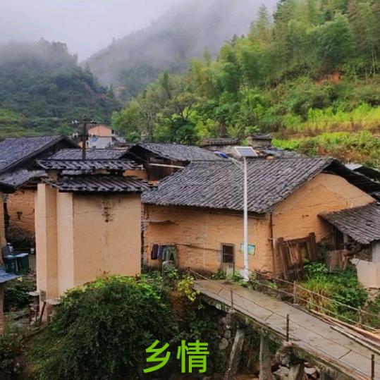 乡情