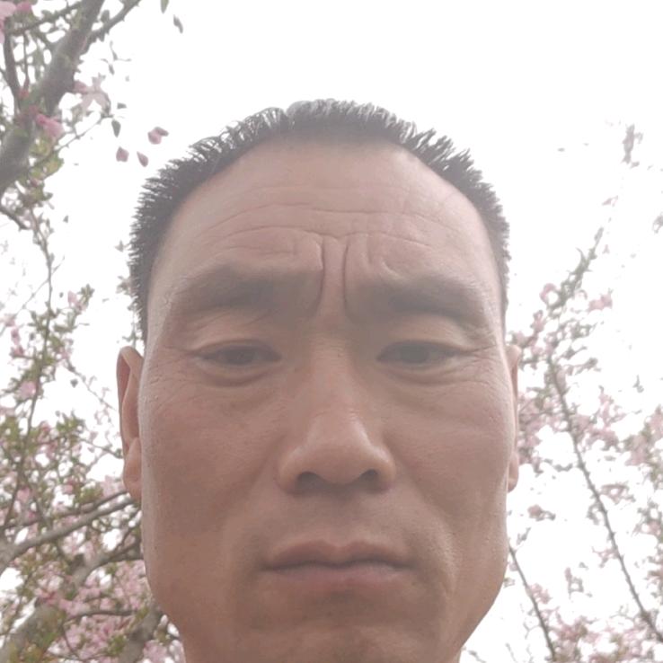 未来更美好
