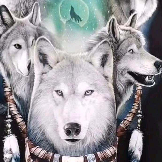 ，。！！！！！