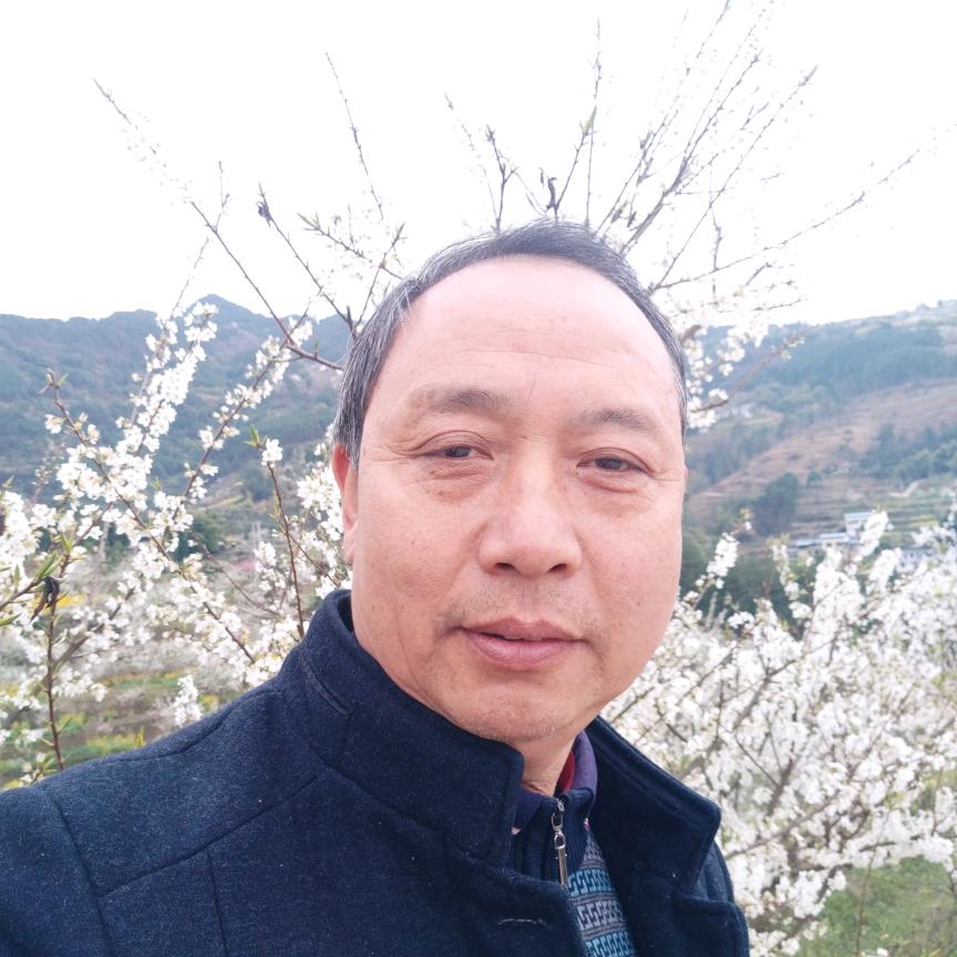 草上飞