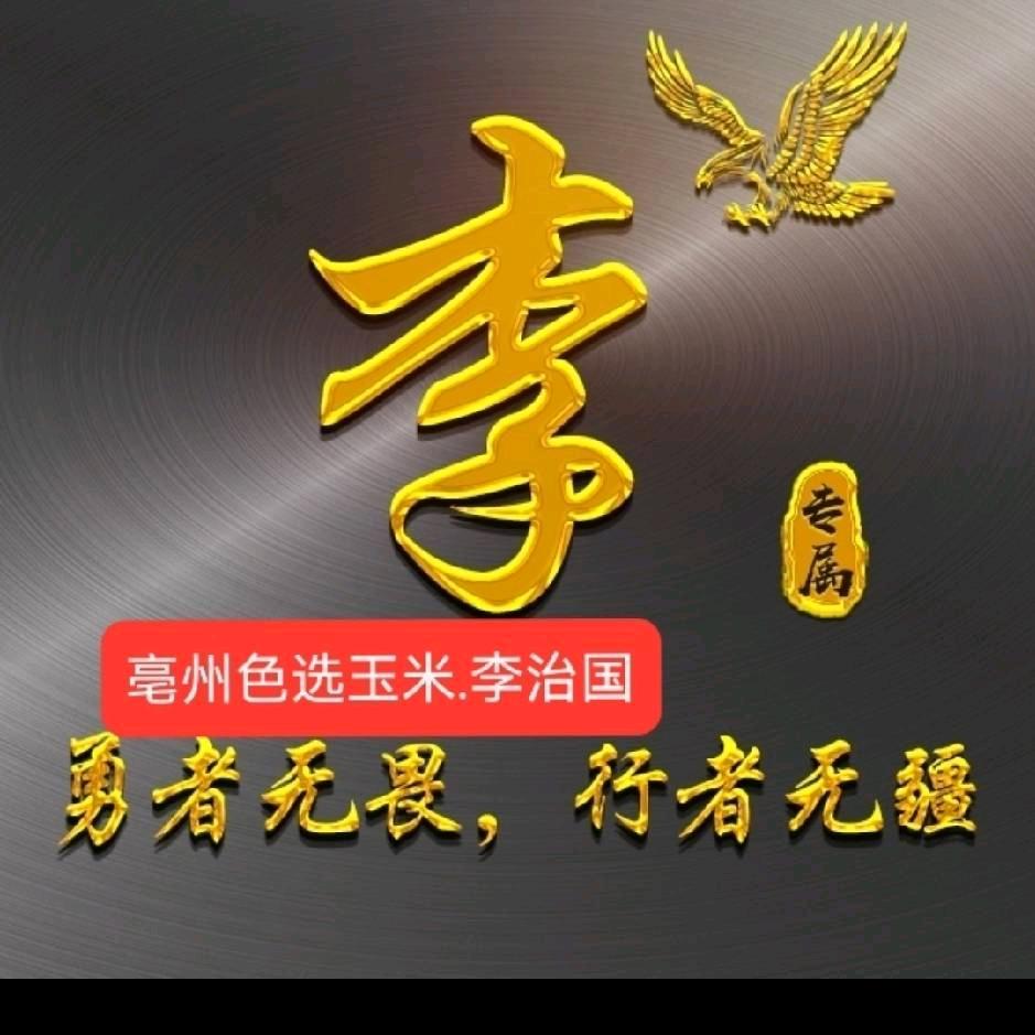 亳州色选玉米.李治国