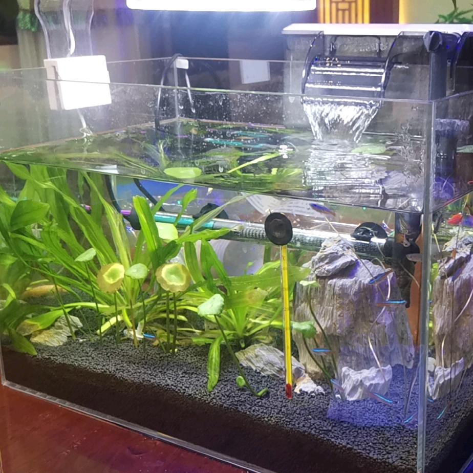 今年的冬天格外冷