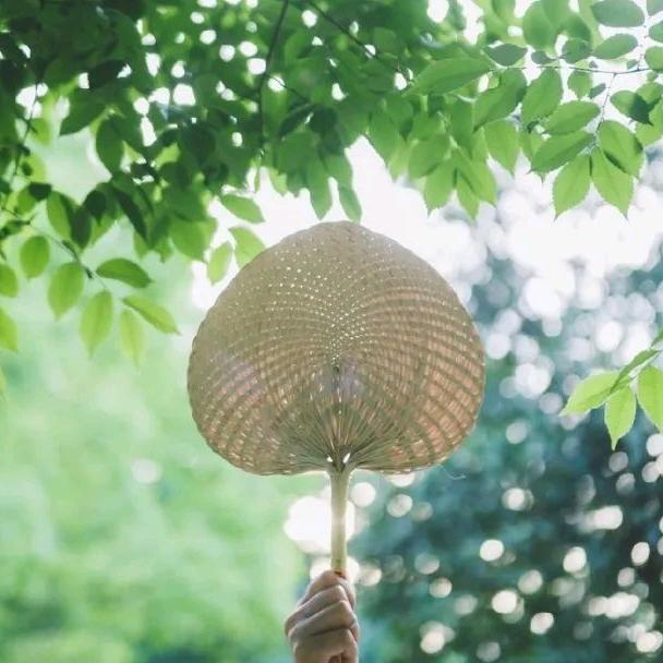 酒心巧克力