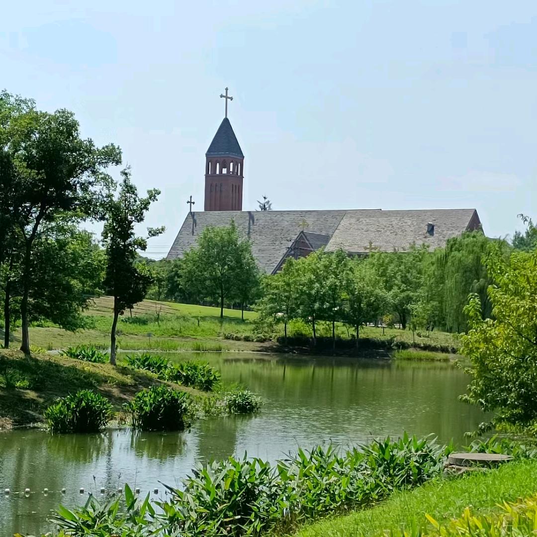 SUSU2021