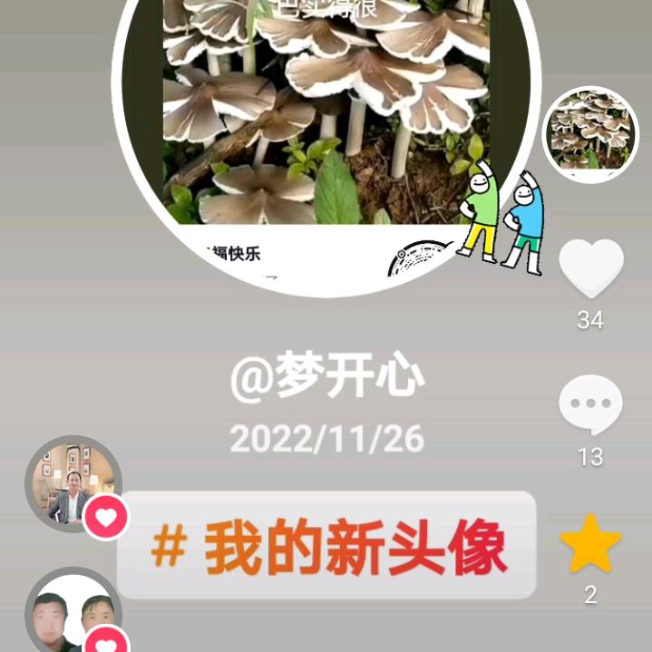 每天穷开心