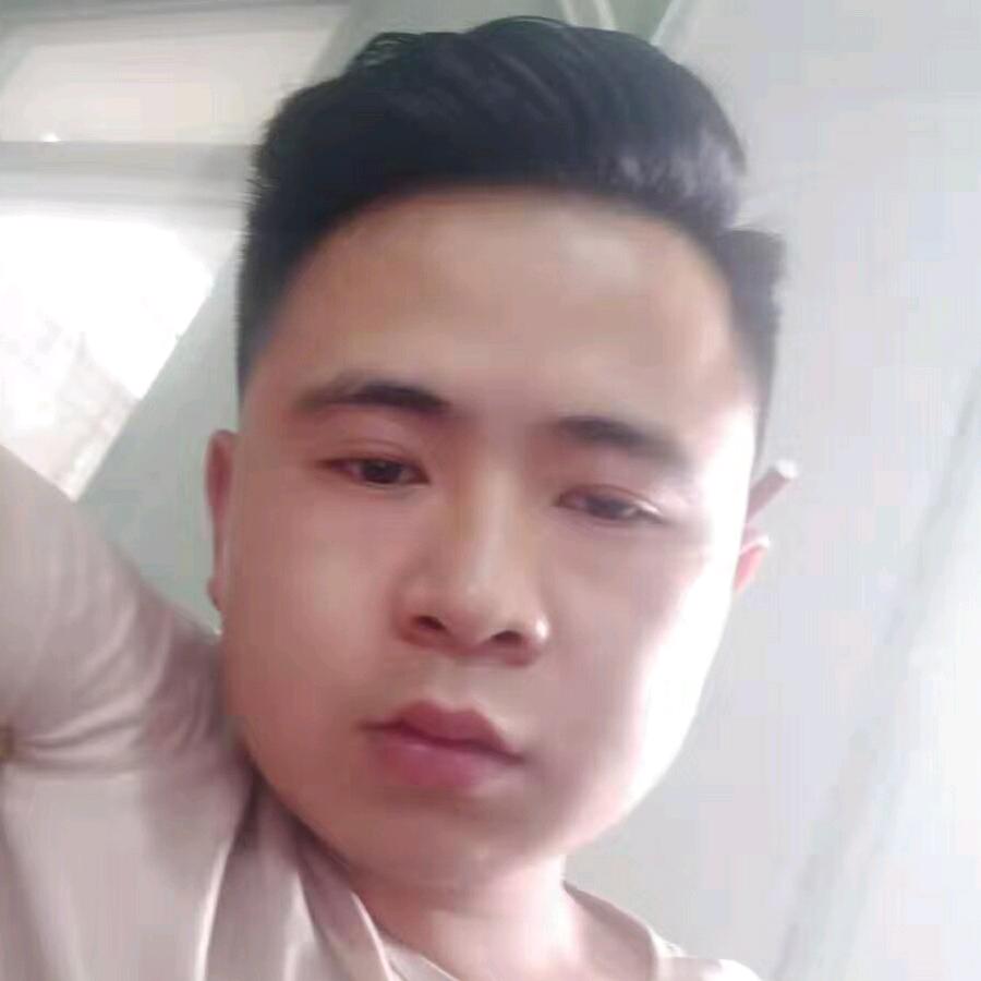 楊🐑