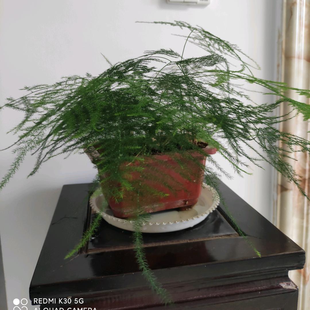白开水