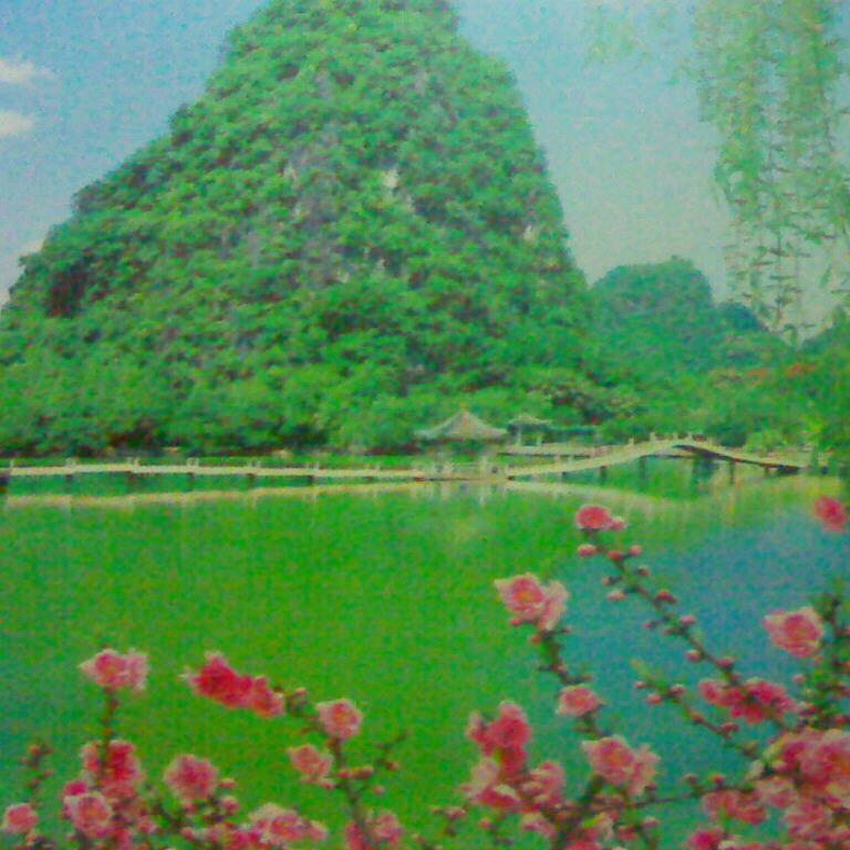 🌴日进斗金🀄🌴