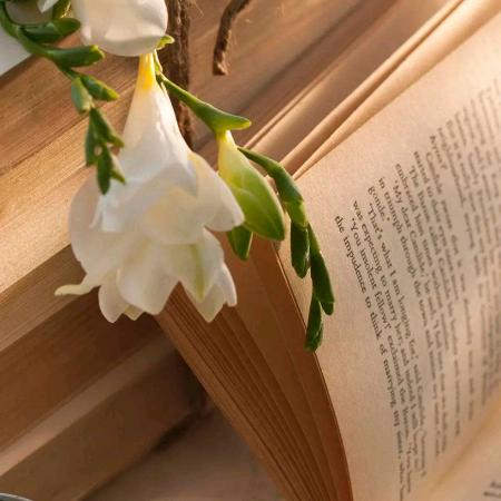 发尔美造型（保定莲池店）