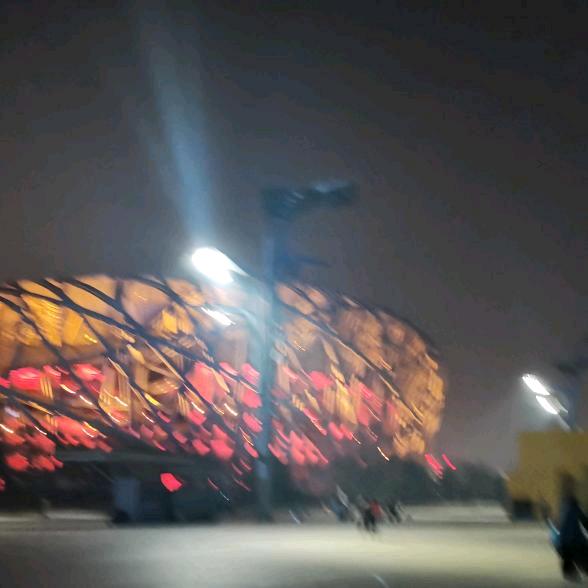 为目标而战🐺