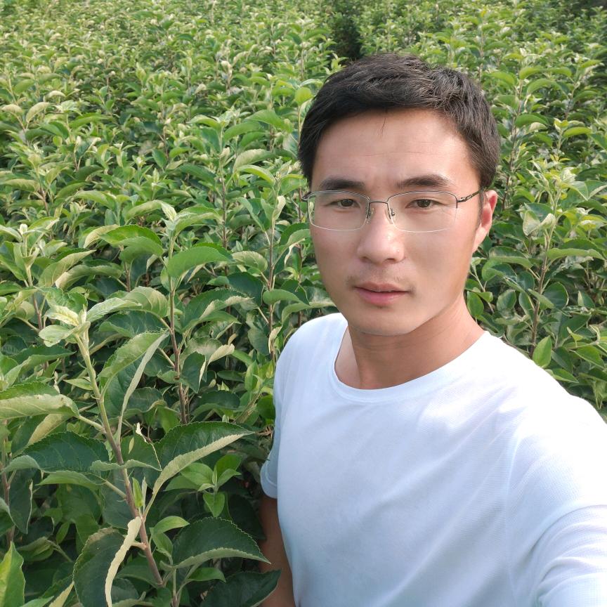 果农侠成优果树苗木专卖店