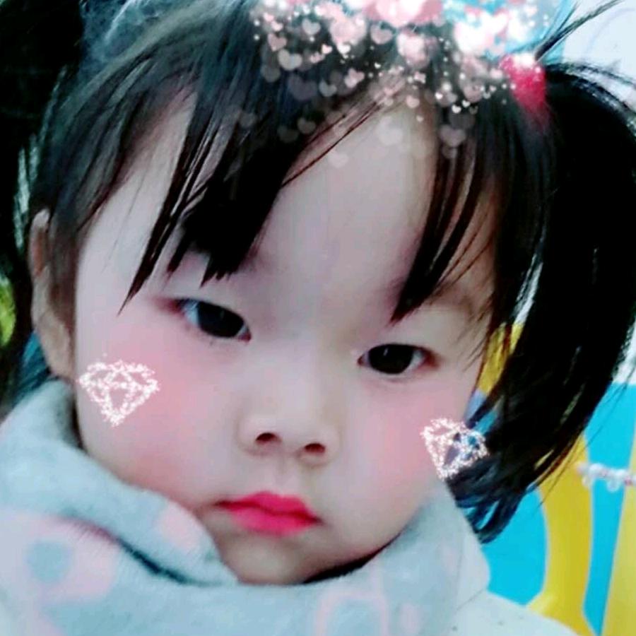 心淡如菊
