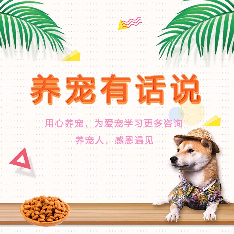 哇米宠物生活号