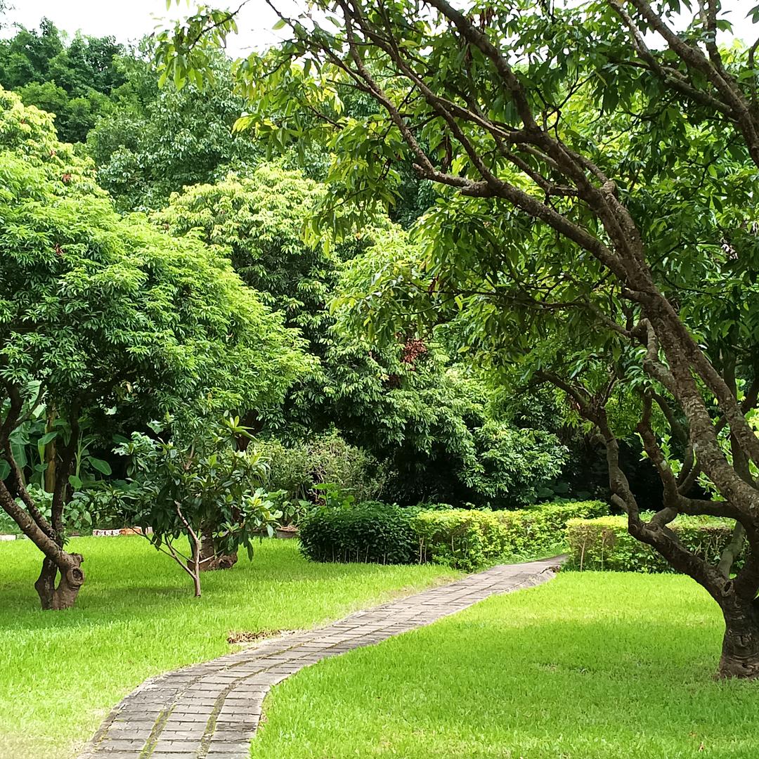 ℳ̶̶̶̶໌໌້ᮨ꧔ꦿ*꯭͡李🌟꧔