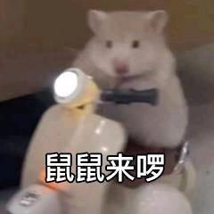 c萝莉啰嗦L