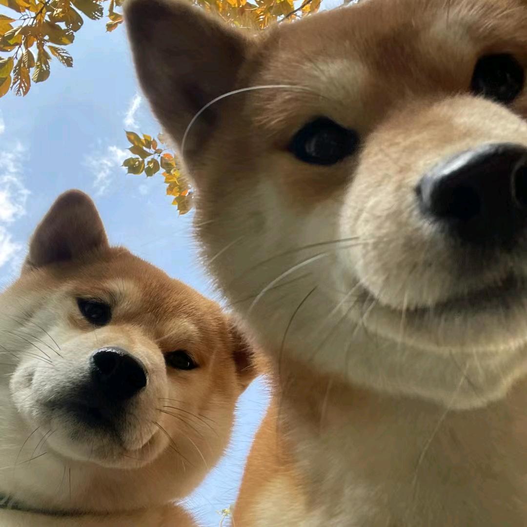 晚上吃什么