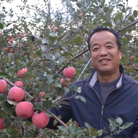 苹果王晓东
