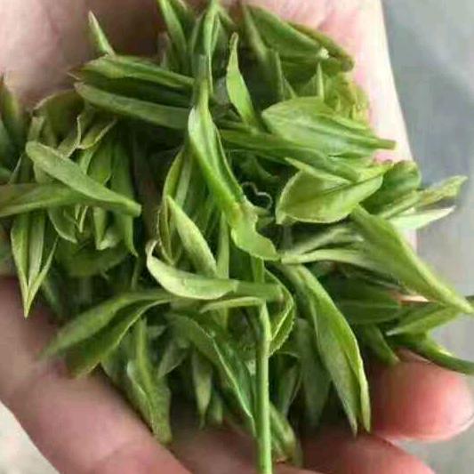 天竺茗品茶叶有限公司