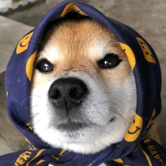 大莽翼