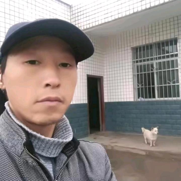 花儿开放