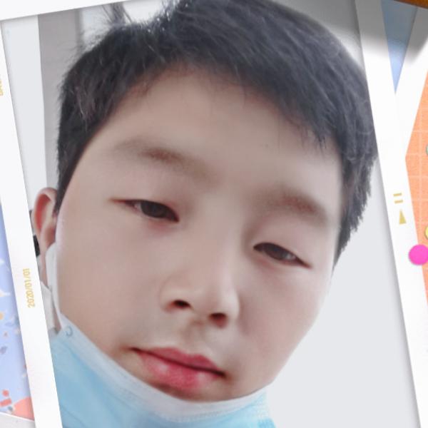 磊