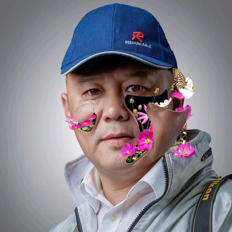 大海鱼