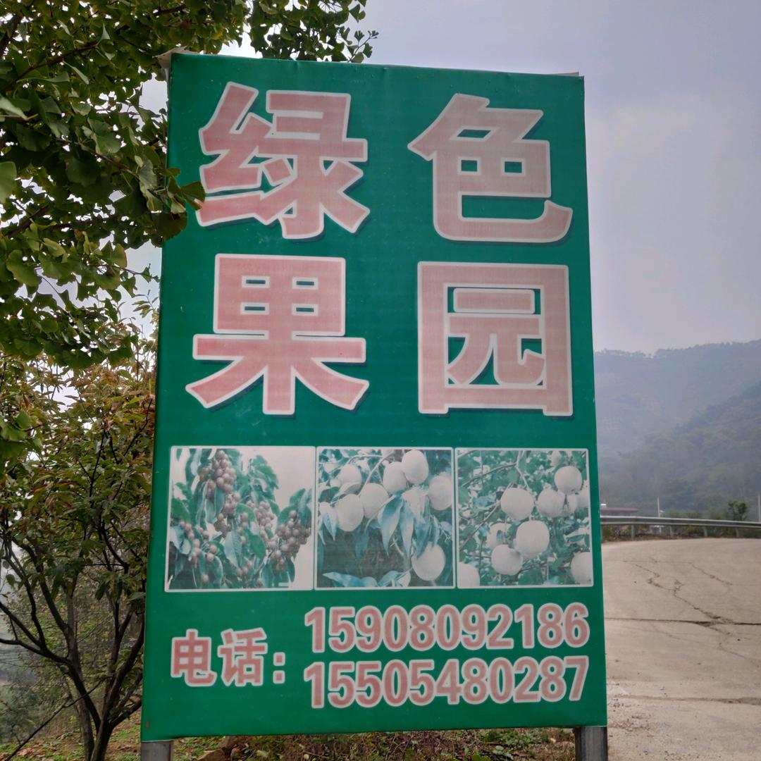 岁月如歌