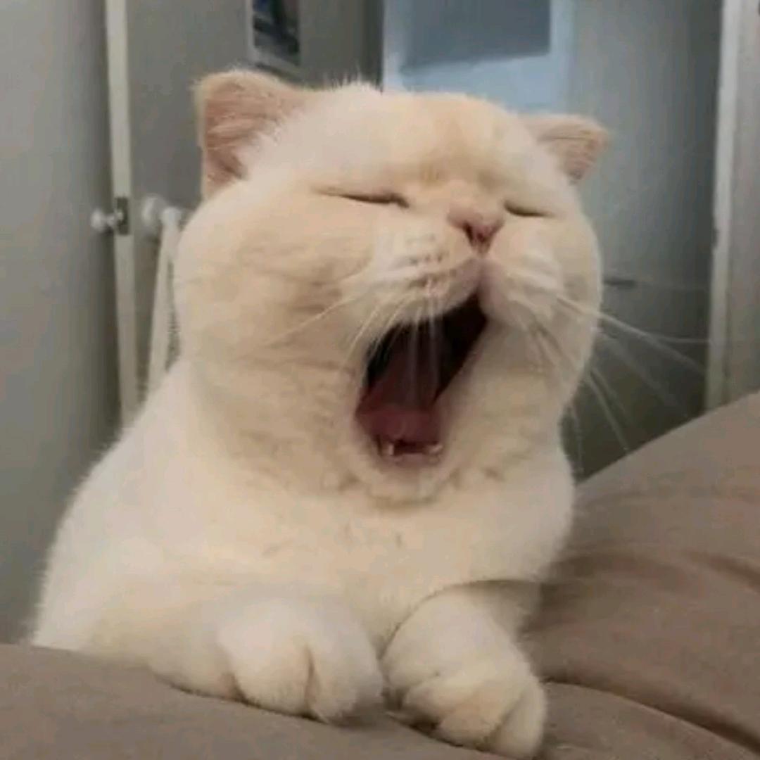 不是吃的麻花