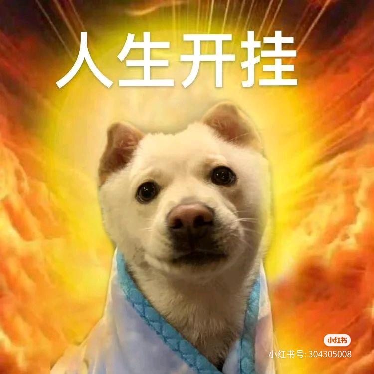 人生开挂