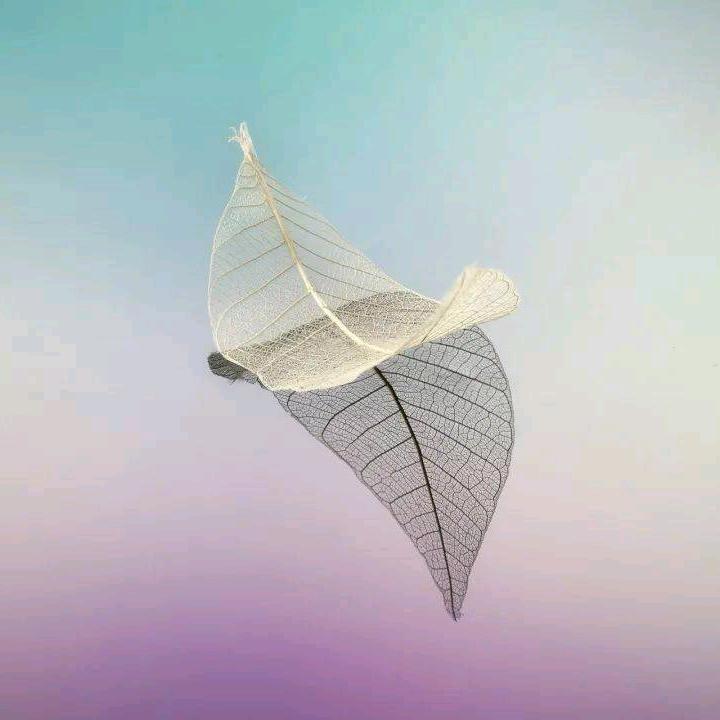 瓜不兮兮呐
