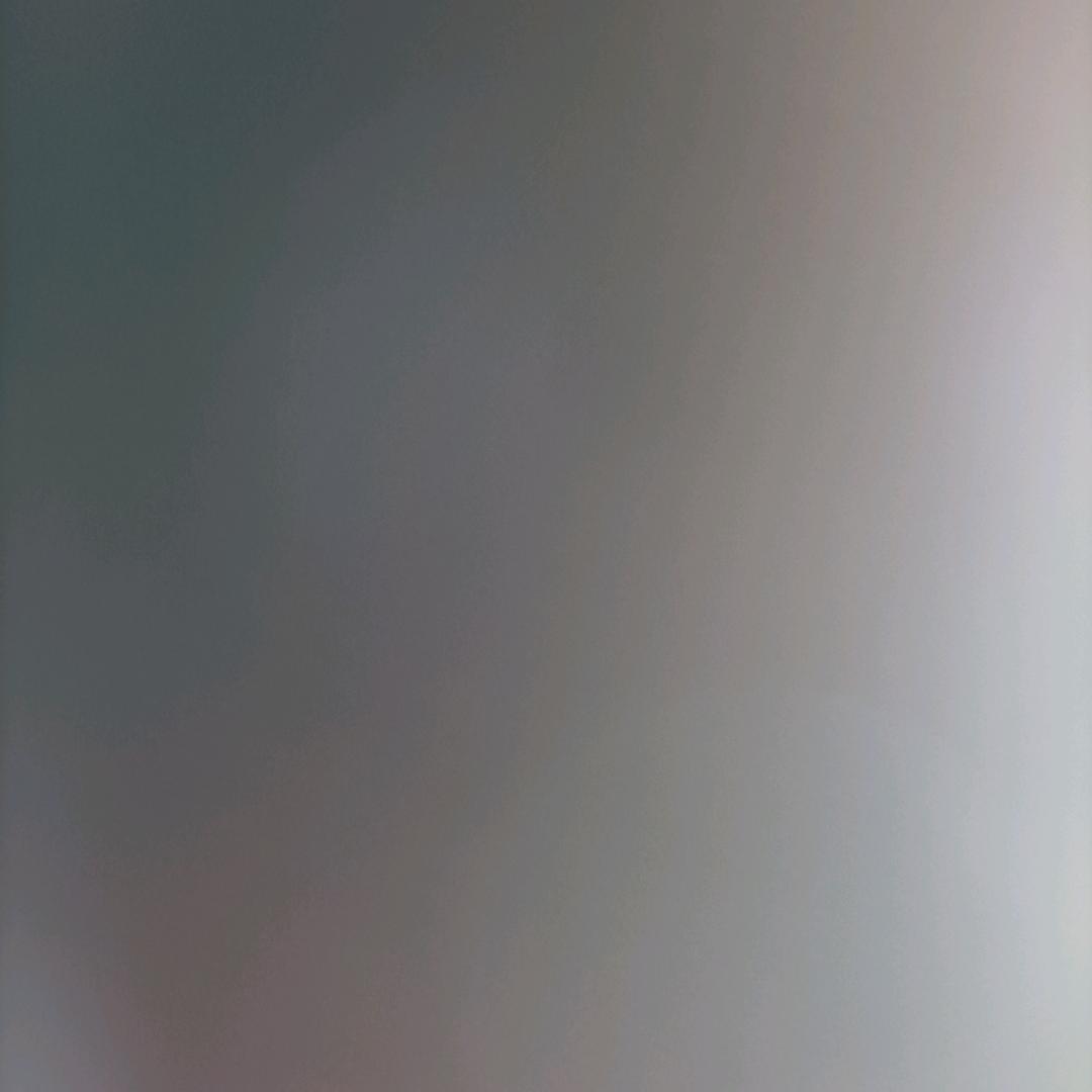 老樊