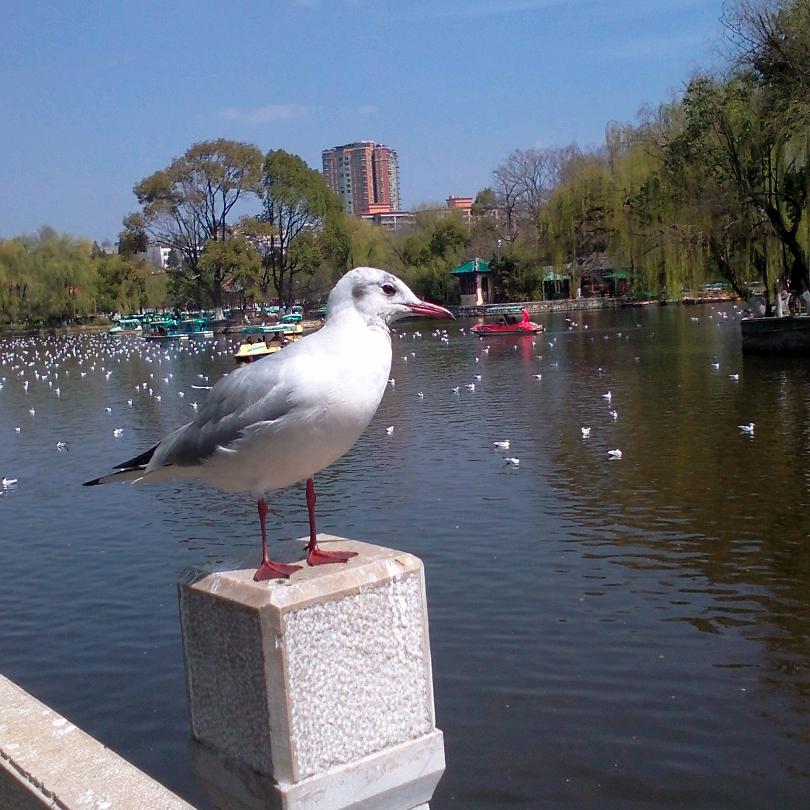 永不后悔。